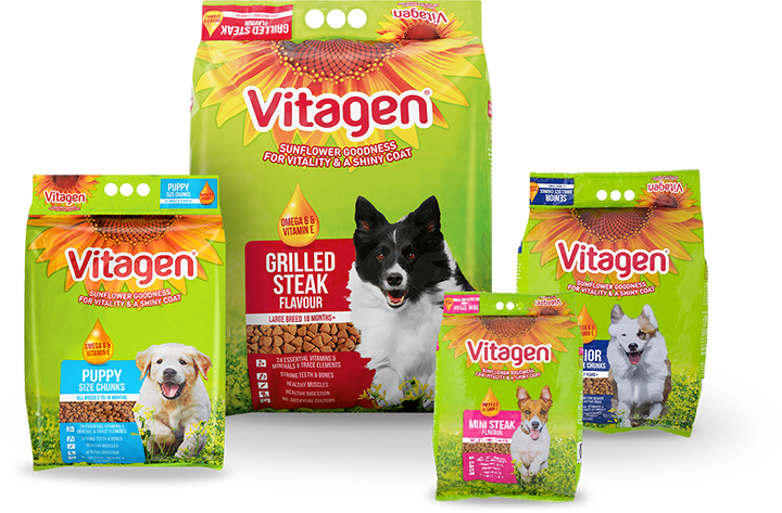 https://www.vitagen.co.za/wp-content/uploads/2019/03/dogpack.png